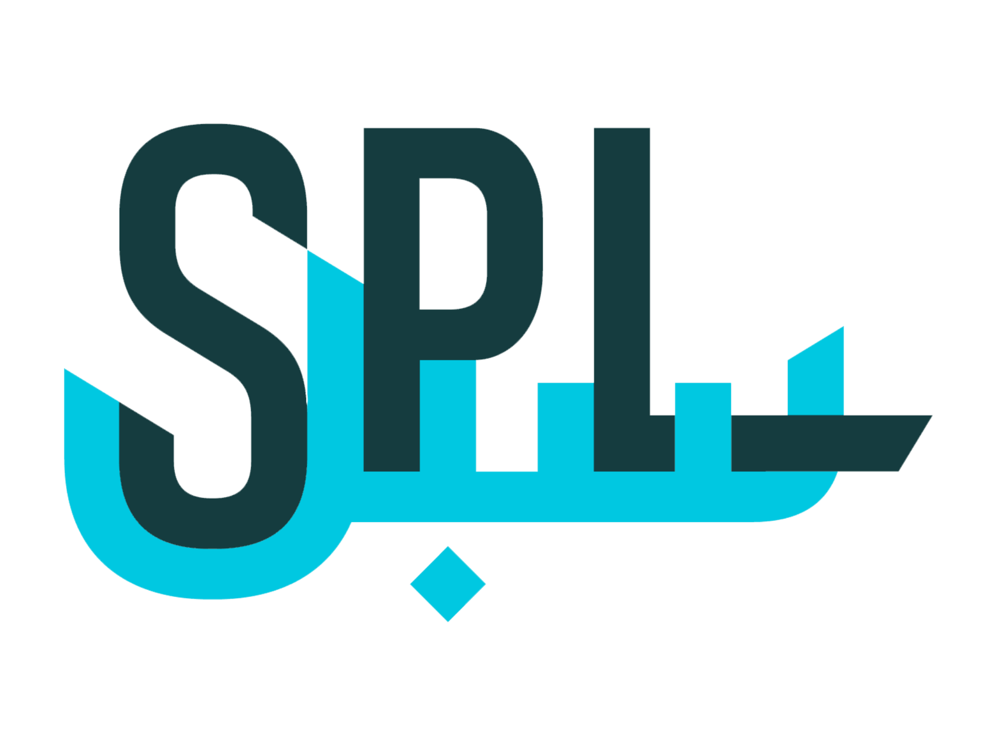 Partner logo 13