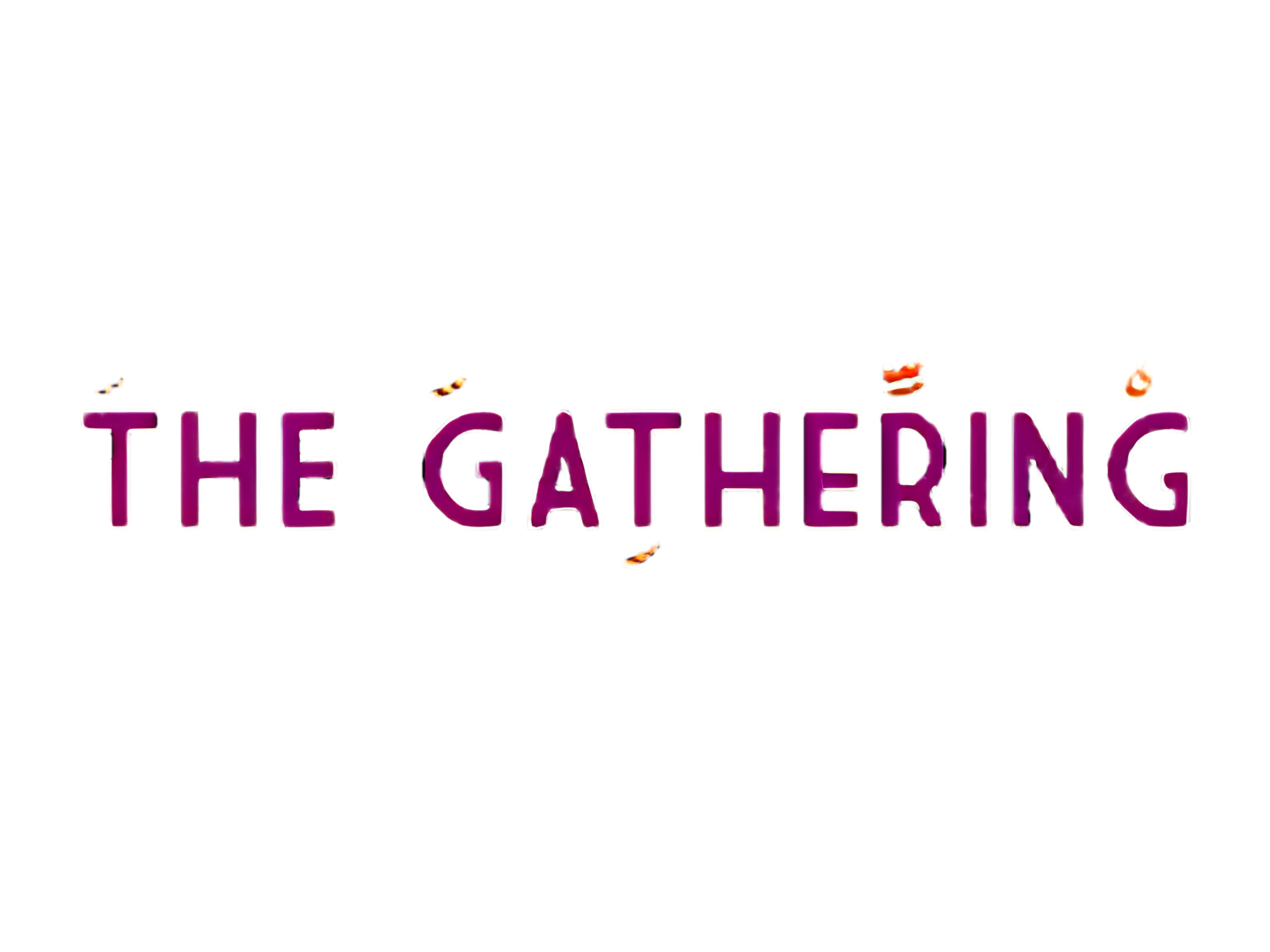 Partner logo 19