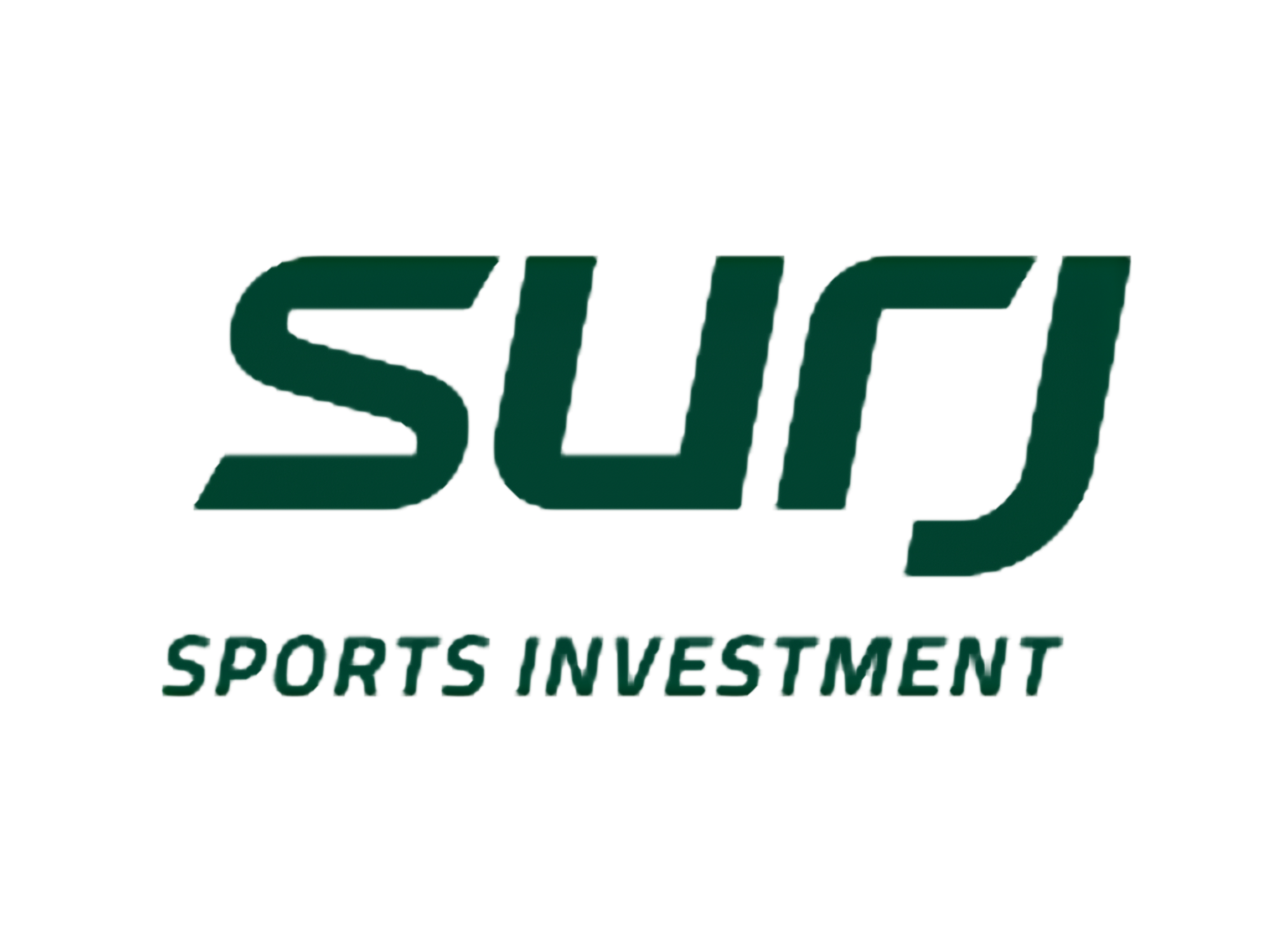 Partner logo 31